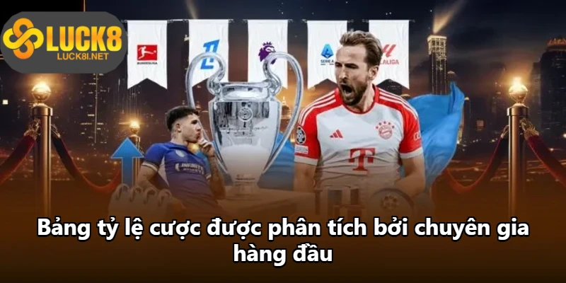 Bảng tỷ lệ cược được phân tích bởi chuyên gia hàng đầu