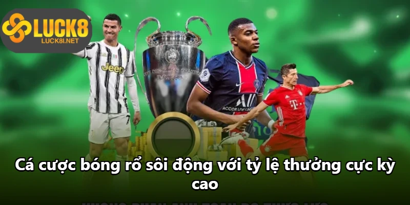 Cá cược bóng rổ sôi động với tỷ lệ thưởng cực kỳ cao