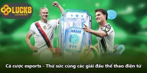 Cá Cược Esports - Thử Sức Cùng Các Giải Đấu Thể Thao Điện Tử