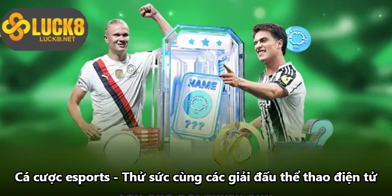 Cá Cược Esports - Thử Sức Cùng Các Giải Đấu Thể Thao Điện Tử