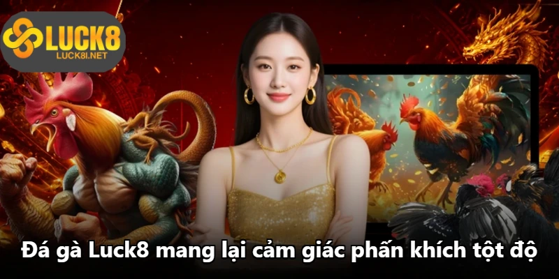 Đá gà Luck8 mang lại cảm giác phấn khích tột độ