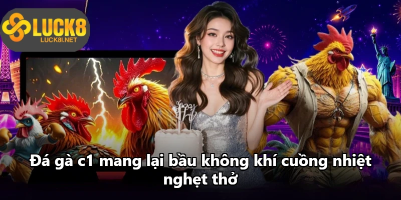Đá gà c1 mang lại bầu không khí cuồng nhiệt nghẹt thở Đá gà c1 mang lại bầu không khí cuồng nhiệt nghẹt thở