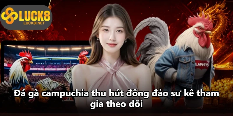 Đá gà campuchia thu hút đông đảo sư kê tham gia theo dõi