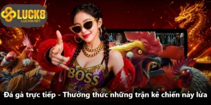 Đá Gà Trực Tiếp - Thưởng Thức Những Trận Kê Chiến Nảy Lửa