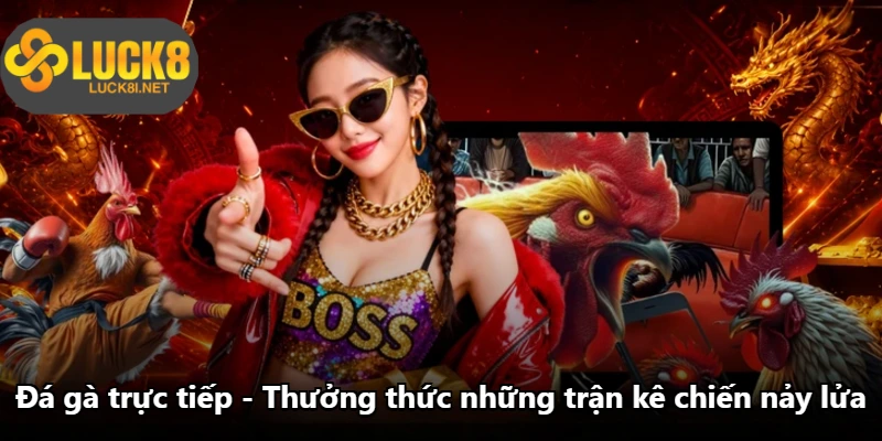 Đá Gà Trực Tiếp - Thưởng Thức Những Trận Kê Chiến Nảy Lửa