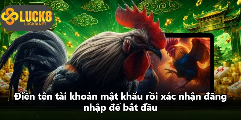 Điền tên tài khoản mật khẩu rồi xác nhận đăng nhập để bắt đầu