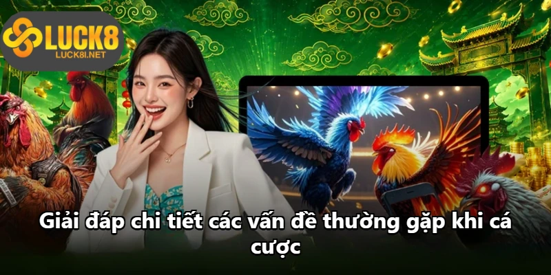 Giải đáp chi tiết các vấn đề thường gặp khi cá cược Giải đáp chi tiết các vấn đề thường gặp khi cá cược