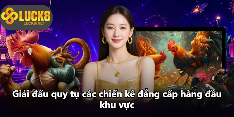 Giải đấu quy tụ các chiến kê đẳng cấp hàng đầu khu vực Giải đấu quy tụ các chiến kê đẳng cấp hàng đầu khu vực