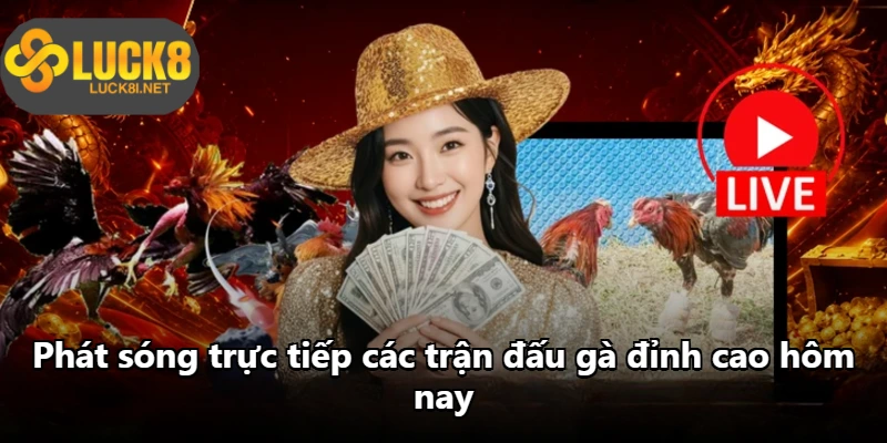 Phát sóng trực tiếp các trận đấu gà đỉnh cao hôm nay