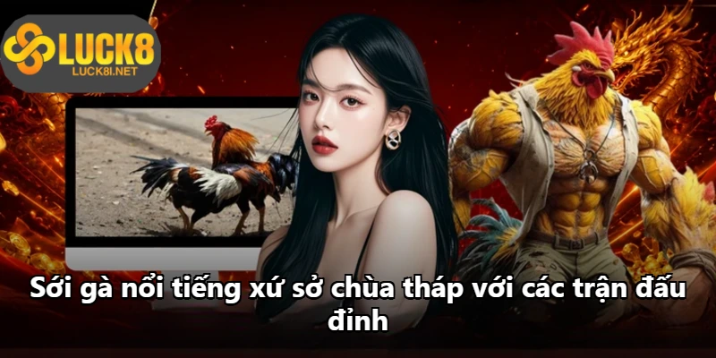 Sới gà nổi tiếng xứ sở chùa tháp với các trận đấu đỉnh