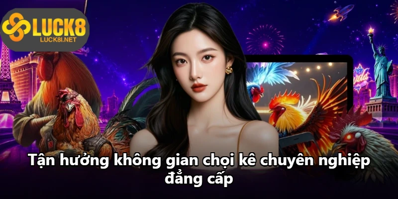 Tận hưởng không gian chọi kê chuyên nghiệp đẳng cấp