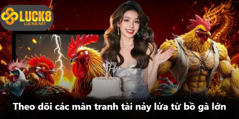 Theo dõi các màn tranh tài nảy lửa từ bồ gà lớn