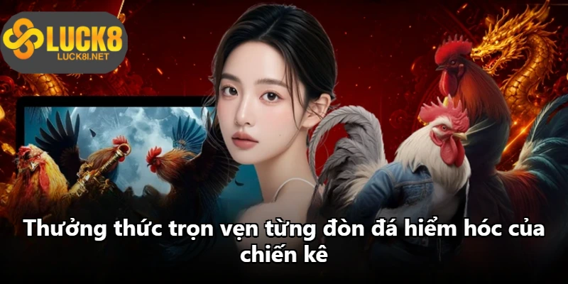 Thưởng thức trọn vẹn từng đòn đá hiểm hóc của chiến kê
